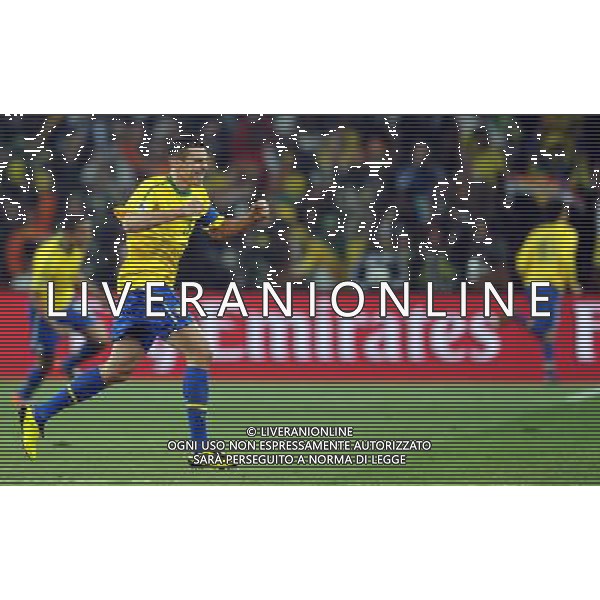 (100621) -- JOHANNESBURG, June 21, 2010 () -- Lucio of Brazil celebrates the opening goal by his teammate Luis Fabiano during the Group G soccer match against Ivory Coast at 2010 FIFA World Cup at Soccer City stadium in Johannesburg, South Africa, on June 20, 2010. (/Wang Yuguo)(xm) ©Photoshot/Agenzia Aldo Liverani Sas - ITALY ONLY: BRASILE - COSTA D\'AVORIO FIFA WORLD CUP CAMPIONATI MONDIALI SUD AFRICA 2010
