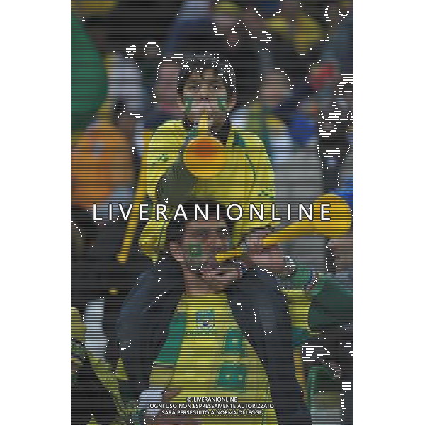 (100621) -- JOHANNESBURG, June 21, 2010 () -- Brazilian supporters cheer before the Group G soccer match against Ivory Coast at 2010 FIFA World Cup at Soccer City stadium in Johannesburg, South Africa, on June 20, 2010. (/Wang Yuguo)(xm) ©Photoshot/Agenzia Aldo Liverani Sas - ITALY ONLY: BRASILE - COSTA D\'AVORIO FIFA WORLD CUP CAMPIONATI MONDIALI SUD AFRICA 2010