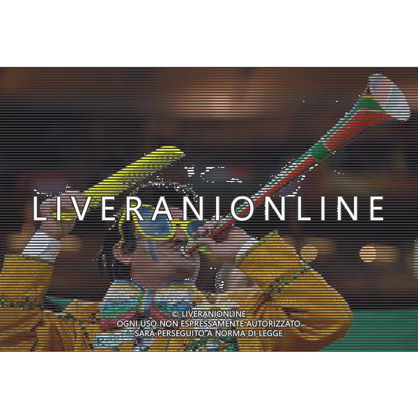 (100621) -- JOHANNESBURG, June 21, 2010 () -- A Brazilian fan blows the vuvuzela before the Group G soccer match against Ivory Coast at 2010 FIFA World Cup at Soccer City stadium in Johannesburg, South Africa, on June 20, 2010. (/Wang Yuguo)(xm) ©Photoshot/Agenzia Aldo Liverani Sas - ITALY ONLY: BRASILE - COSTA D\'AVORIO FIFA WORLD CUP CAMPIONATI MONDIALI SUD AFRICA 2010