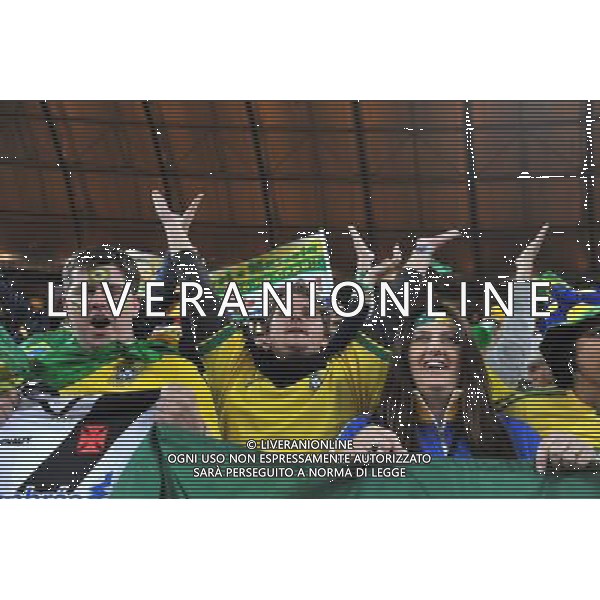 (100621) -- JOHANNESBURG, June 21, 2010 () -- Brazilian supporters cheer before the Group G soccer match against Ivory Coast at 2010 FIFA World Cup at Soccer City stadium in Johannesburg, South Africa, on June 20, 2010. (/Yang Lei)(xm) ©Photoshot/Agenzia Aldo Liverani Sas - ITALY ONLY: BRASILE - COSTA D\'AVORIO FIFA WORLD CUP CAMPIONATI MONDIALI SUD AFRICA 2010