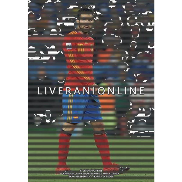 Fifa World Cup Sud Africa 2010 Match #32 Johannesburg (Ellis Park Stadium) - 21.06.2010 Spagna-Honduras Nella Foto:Cesc FABREGAS /Ph.Vitez-Ag. Aldo Liverani