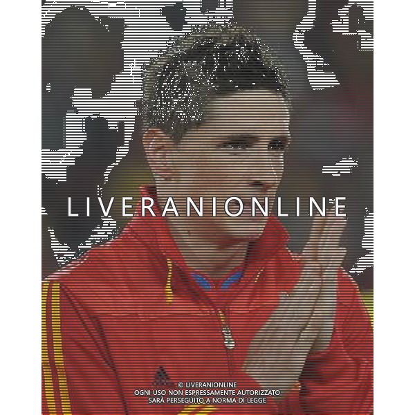 Fifa World Cup Sud Africa 2010 Match #32 Johannesburg (Ellis Park Stadium) - 21.06.2010 Spagna-Honduras Nella Foto:Fernando TORRES /Ph.Vitez-Ag. Aldo Liverani