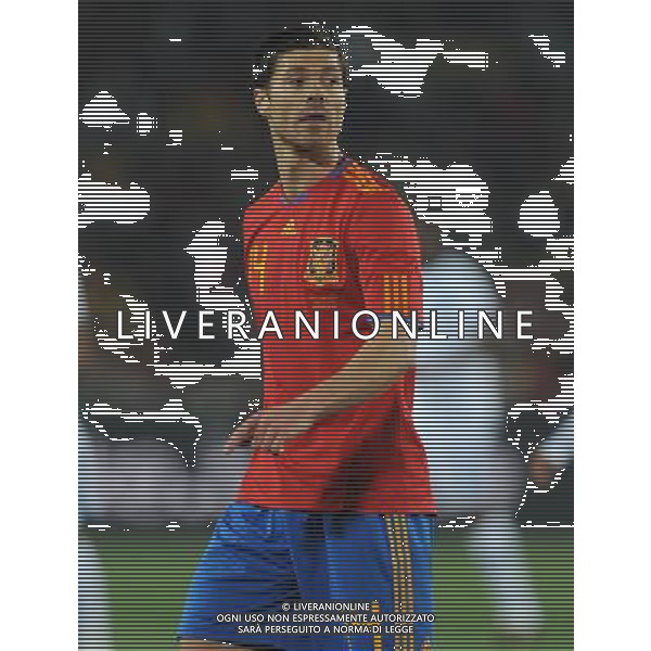 Fifa World Cup Sud Africa 2010 Match #32 Johannesburg (Ellis Park Stadium) - 21.06.2010 Spagna-Honduras Nella Foto:XABI ALONSO /Ph.Vitez-Ag. Aldo Liverani