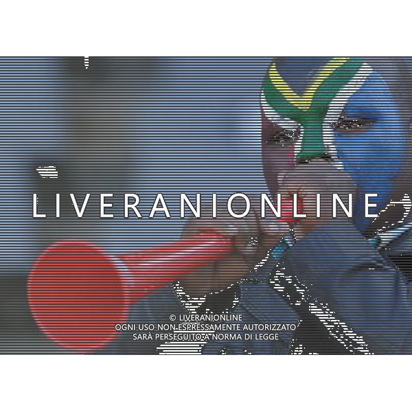 Fifa World Cup Sud Africa 2010 Match #34 Mangaung/Bloemfontein (Free State Stadium) - 22.06.2010 Francia-Sud Africa Nella Foto:Tifosi /Ph.Vitez-Ag. Aldo Liverani