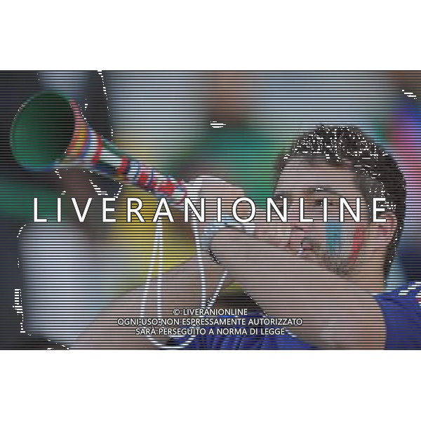 Fifa World Cup Sud Africa 2010 Match #34 Mangaung/Bloemfontein (Free State Stadium) - 22.06.2010 Francia-Sud Africa Nella Foto:Tifosi /Ph.Vitez-Ag. Aldo Liverani