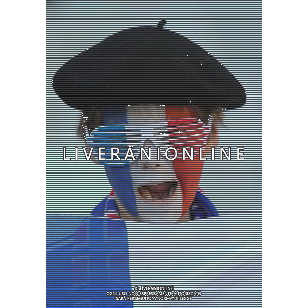 Fifa World Cup Sud Africa 2010 Match #34 Mangaung/Bloemfontein (Free State Stadium) - 22.06.2010 Francia-Sud Africa Nella Foto:Tifosi /Ph.Vitez-Ag. Aldo Liverani