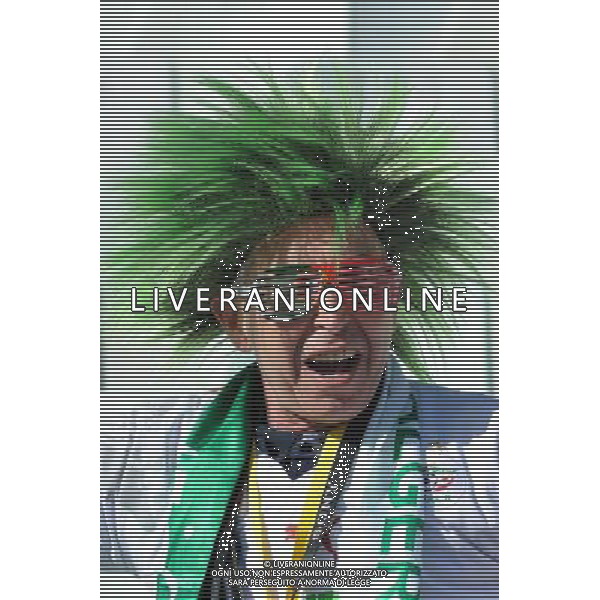 Fifa World Cup Sud Africa 2010 Match #34 Mangaung/Bloemfontein (Free State Stadium) - 22.06.2010 Francia-Sud Africa Nella Foto:Tifosi /Ph.Vitez-Ag. Aldo Liverani