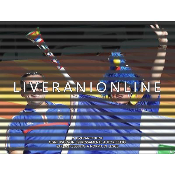 Fifa World Cup Sud Africa 2010 Match #34 Mangaung/Bloemfontein (Free State Stadium) - 22.06.2010 Francia-Sud Africa Nella Foto:Tifosi /Ph.Vitez-Ag. Aldo Liverani