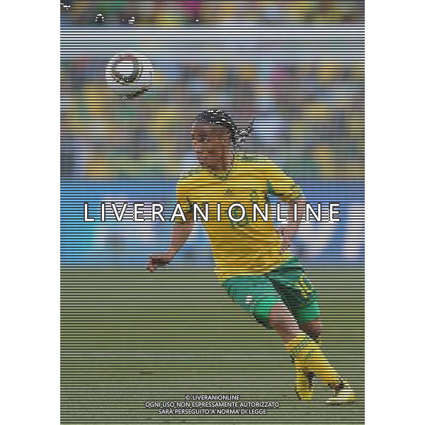 Fifa World Cup Sud Africa 2010 Match #34 Mangaung/Bloemfontein (Free State Stadium) - 22.06.2010 Francia-Sud Africa Nella Foto:pienaar /Ph.Vitez-Ag. Aldo Liverani