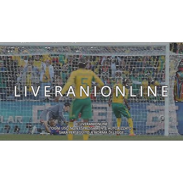 Fifa World Cup Sud Africa 2010 Match #34 Mangaung/Bloemfontein (Free State Stadium) - 22.06.2010 Francia-Sud Africa Nella Foto:mphela gol /Ph.Vitez-Ag. Aldo Liverani