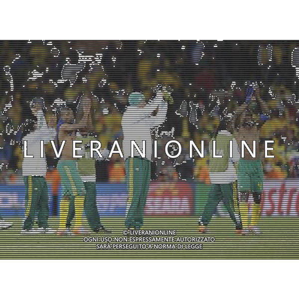 (100622) -- BLOEMFONTEIN, June 22, 2010 -- Players of South Africa greet the spectators after winning the Group A match against France at the 2010 World Cup football match in Bloemfontein, South Africa, on June 22, 2010. South Africa won 2-1. Chen Haitong) (zc)