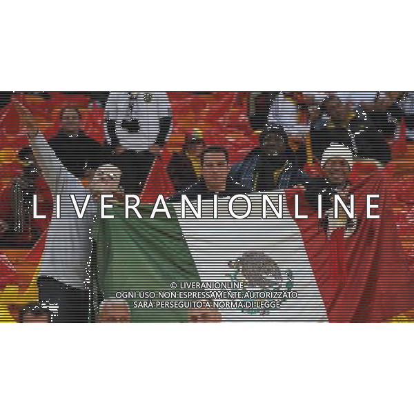 Fifa World Cup Sud Africa 2010 Match #39 Johannesburg (Soccer City Stadium) - 23.06.2010 Ghana-Germania Nella Foto: tifosi /Ph.Vitez-Ag. Aldo Liverani