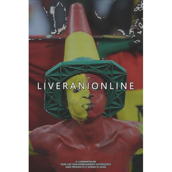 Fifa World Cup Sud Africa 2010 Match #39 Johannesburg (Soccer City Stadium) - 23.06.2010 Ghana-Germania Nella Foto: tifosi /Ph.Vitez-Ag. Aldo Liverani