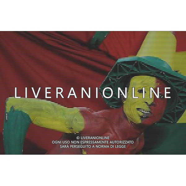 Fifa World Cup Sud Africa 2010 Match #39 Johannesburg (Soccer City Stadium) - 23.06.2010 Ghana-Germania Nella Foto: tifosi /Ph.Vitez-Ag. Aldo Liverani