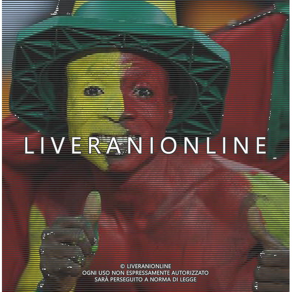 Fifa World Cup Sud Africa 2010 Match #39 Johannesburg (Soccer City Stadium) - 23.06.2010 Ghana-Germania Nella Foto: tifosi /Ph.Vitez-Ag. Aldo Liverani