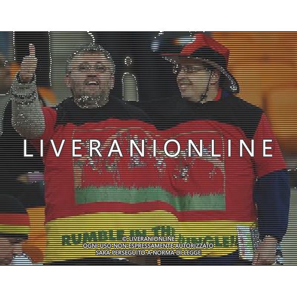 Fifa World Cup Sud Africa 2010 Match #39 Johannesburg (Soccer City Stadium) - 23.06.2010 Ghana-Germania Nella Foto: tifosi /Ph.Vitez-Ag. Aldo Liverani