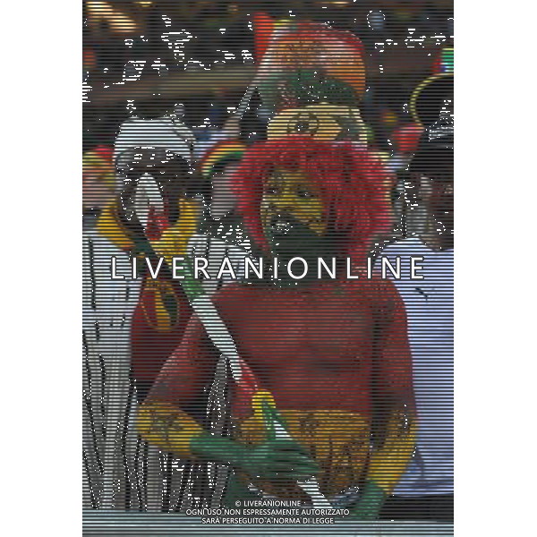 Fifa World Cup Sud Africa 2010 Match #39 Johannesburg (Soccer City Stadium) - 23.06.2010 Ghana-Germania Nella Foto:tifoso /Ph.Vitez-Ag. Aldo Liverani