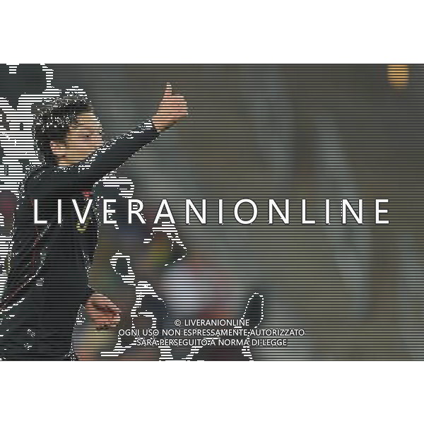 Fifa World Cup Sud Africa 2010 Match #39 Johannesburg (Soccer City Stadium) - 23.06.2010 Ghana-Germania Nella Foto:ozil /Ph.Vitez-Ag. Aldo Liverani