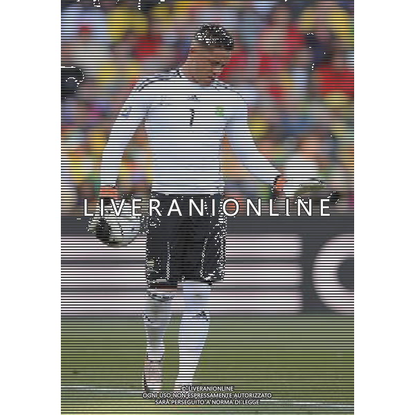 Fifa World Cup Sud Africa 2010 Match #34 Mangaung/Bloemfontein (Free State Stadium) - 22.06.2010 Francia-Sud Africa Nella Foto:Moneeb JOSEPHS /Ph.Vitez-Ag. Aldo Liverani