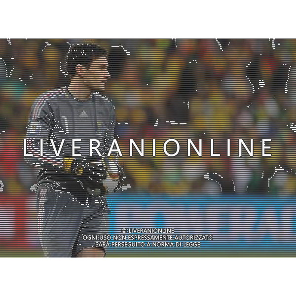 Fifa World Cup Sud Africa 2010 Match #34 Mangaung/Bloemfontein (Free State Stadium) - 22.06.2010 Francia-Sud Africa Nella Foto:Hugo LLORIS /Ph.Vitez-Ag. Aldo Liverani