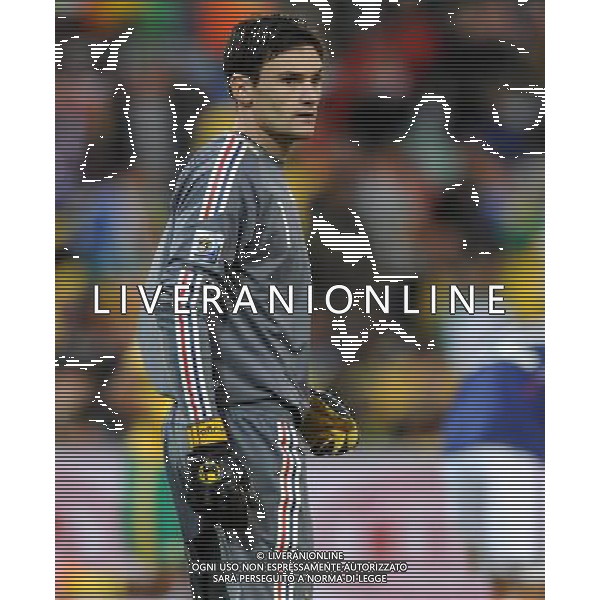 Fifa World Cup Sud Africa 2010 Match #34 Mangaung/Bloemfontein (Free State Stadium) - 22.06.2010 Francia-Sud Africa Nella Foto:Hugo LLORIS /Ph.Vitez-Ag. Aldo Liverani
