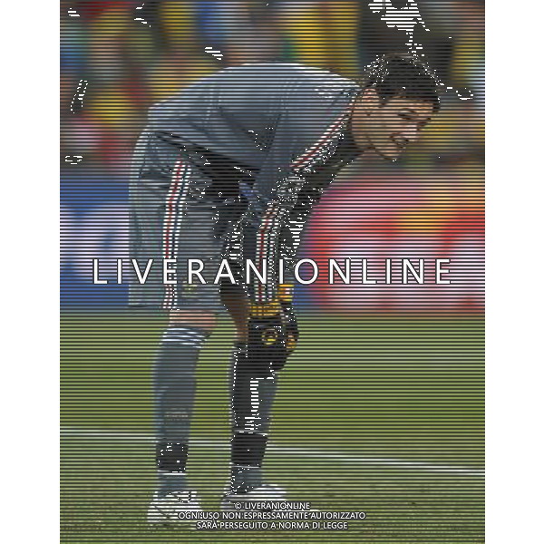 Fifa World Cup Sud Africa 2010 Match #34 Mangaung/Bloemfontein (Free State Stadium) - 22.06.2010 Francia-Sud Africa Nella Foto:Hugo LLORIS /Ph.Vitez-Ag. Aldo Liverani