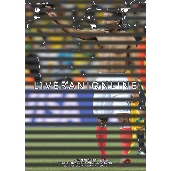 Fifa World Cup Sud Africa 2010 Match #34 Mangaung/Bloemfontein (Free State Stadium) - 22.06.2010 Francia-Sud Africa Nella Foto:Florent MALOUDA /Ph.Vitez-Ag. Aldo Liverani