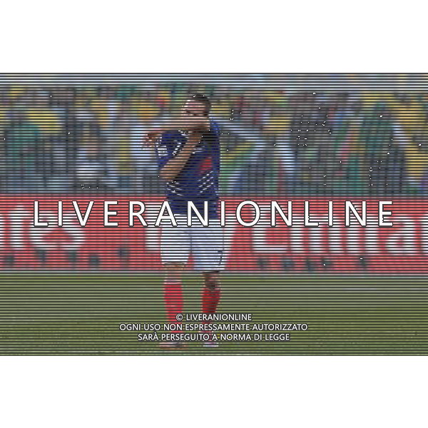 Fifa World Cup Sud Africa 2010 Match #34 Mangaung/Bloemfontein (Free State Stadium) - 22.06.2010 Francia-Sud Africa Nella Foto:Franck RIBERY /Ph.Vitez-Ag. Aldo Liverani