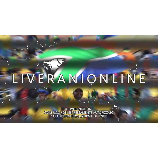 Fifa World Cup Sud Africa 2010 Match #34 Mangaung/Bloemfontein (Free State Stadium) - 22.06.2010 Francia-Sud Africa Nella Foto:Tifosi /Ph.Vitez-Ag. Aldo Liverani