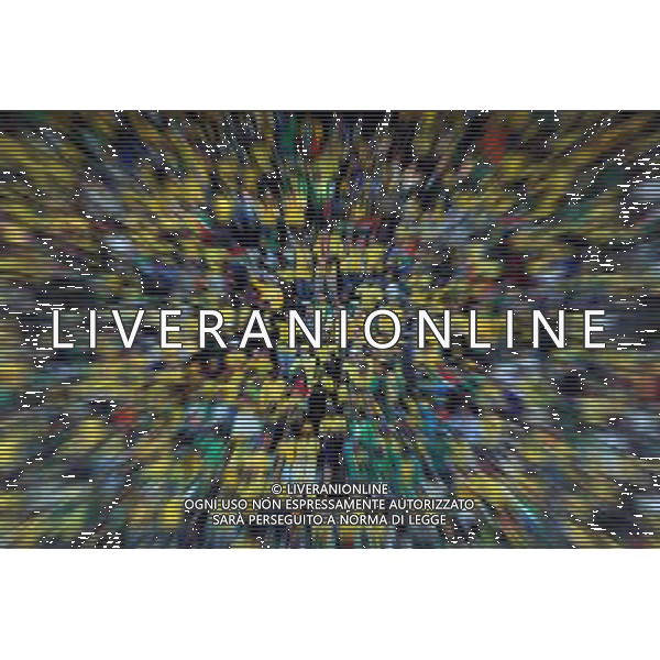 Fifa World Cup Sud Africa 2010 Match #34 Mangaung/Bloemfontein (Free State Stadium) - 22.06.2010 Francia-Sud Africa Nella Foto:Tifosi /Ph.Vitez-Ag. Aldo Liverani