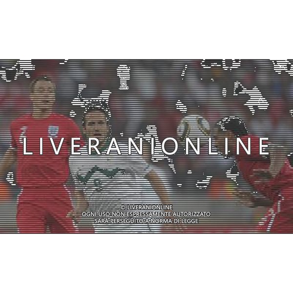 (100623) -- PORT ELIZABETH, June 23, 2010 -- Slovenia\'s Zlatan Ljubijankic (C) vies for the ball during the 2010 World Cup Group C soccer match against England at Nelson Mandela Bay stadium in Port Elizabeth, South Africa, June 23, 2010. Slovenia lost 0-1. Xing Guangli) (kh) ©Photoshot/Agenzia Aldo Liverani Sas - ITALY ONLY: INGHILTERRA - SLOVENIA FIFA WORLD CUP CAMPIONATI MONDIALI SUD AFRICA 2010