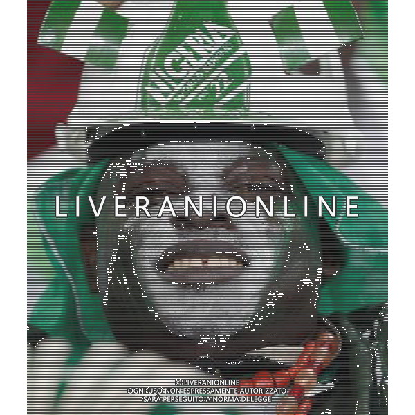 (100623) -- DURBAN, June 23, 2010 -- A fan of Nigeria waits for the start of the 2010 World Cup Group B soccer match between Nigeria and South Korea at Moses Mabhida stadium in Durban, South Africa, on June 22, 2010. Liao Yujie)(fym) ©Photoshot/Agenzia Aldo Liverani Sas - ITALY ONLY - NIGERIA - COREA DEL SUD FIFA WORLD CUP CAMPIONATI MONDIALI SUD AFRICA 2010