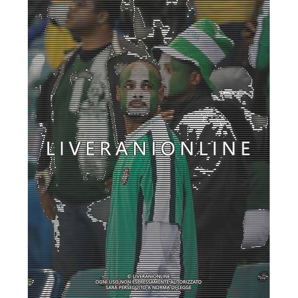 (100623) -- DURBAN, June 23, 2010 () -- A fan of Nigeria reacts after the 2010 World Cup Group B soccer match against South Korea at Moses Mabhida stadium in Durban, South Africa, on June 22, 2010. The match tied 2-2.(/Liao Yujie)(dl) ©Photoshot/Agenzia Aldo Liverani Sas - ITALY ONLY - NIGERIA - COREA DEL SUD FIFA WORLD CUP CAMPIONATI MONDIALI SUD AFRICA 2010