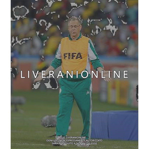 (100623) -- DURBAN, June 23, 2010 () -- Lars Lagerback, head coach of Nigeria, reacts after the 2010 World Cup Group B soccer match against South Korea at Moses Mabhida stadium in Durban, South Africa, on June 22, 2010. The match tied 2-2.(/Liao Yujie)(dl) ©Photoshot/Agenzia Aldo Liverani Sas - ITALY ONLY - NIGERIA - COREA DEL SUD FIFA WORLD CUP CAMPIONATI MONDIALI SUD AFRICA 2010