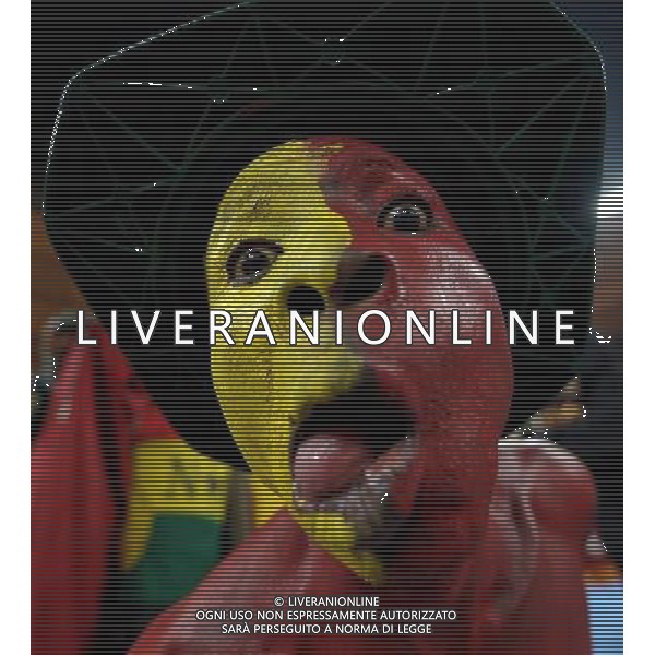 (100624) -- JOHANNESBURG, June 24, 2010 -- A fan grimaces before the 2010 World Cup Group D match between Germany and Ghana in Johannesburg, South Africa, June 23, 2010. Wang Yuguo) ©Photoshot/Agenzia Aldo Liverani Sas - ITALY ONLY - GHANA - GERMANIA FIFA WORLD CUP CAMPIONATI MONDIALI SUD AFRICA 2010