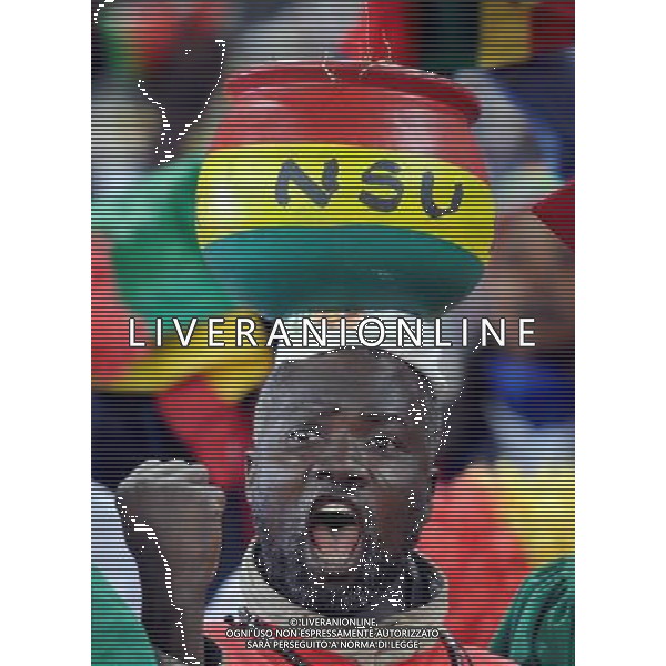 (100624) -- JOHANNESBURG, June 24, 2010 -- A fan cheers before the 2010 World Cup Group D match between Germany and Ghana in Johannesburg, South Africa, June 23, 2010. Li Ga) ©Photoshot/Agenzia Aldo Liverani Sas - ITALY ONLY - GHANA - GERMANIA FIFA WORLD CUP CAMPIONATI MONDIALI SUD AFRICA 2010