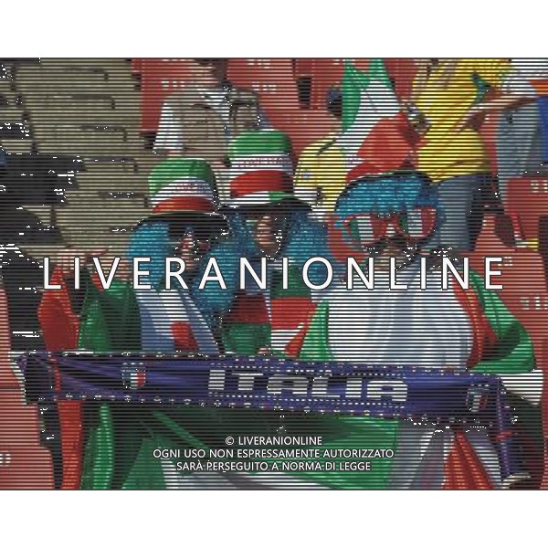 Fifa World Cup Sud Africa 2010 Match #41 Johannesburg (Ellis Park Stadium) - 24.06.2010 Slovacchia-Italia Nella Foto: TIFOSI /Ph.Vitez-Ag. Aldo Liverani