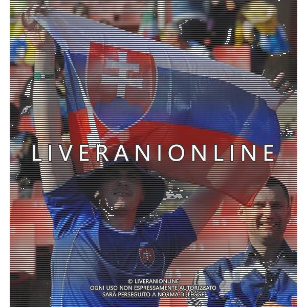 Fifa World Cup Sud Africa 2010 Match #41 Johannesburg (Ellis Park Stadium) - 24.06.2010 Slovacchia-Italia Nella Foto: TIFOSI /Ph.Vitez-Ag. Aldo Liverani