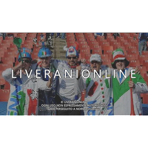 Fifa World Cup Sud Africa 2010 Match #41 Johannesburg (Ellis Park Stadium) - 24.06.2010 Slovacchia-Italia Nella Foto: TIFOSI /Ph.Vitez-Ag. Aldo Liverani