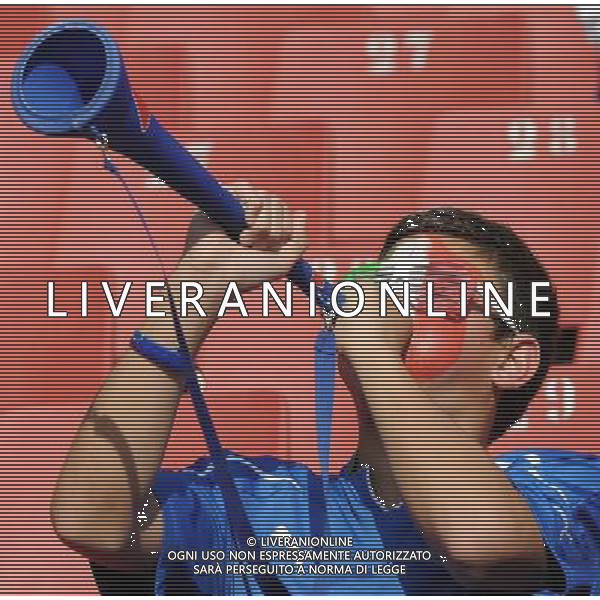 Fifa World Cup Sud Africa 2010 Match #41 Johannesburg (Ellis Park Stadium) - 24.06.2010 Slovacchia-Italia Nella Foto: TIFOSI /Ph.Vitez-Ag. Aldo Liverani