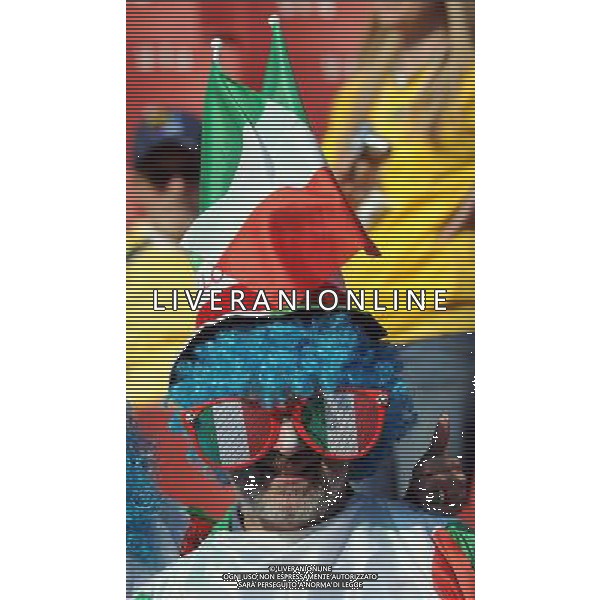 Fifa World Cup Sud Africa 2010 Match #41 Johannesburg (Ellis Park Stadium) - 24.06.2010 Slovacchia-Italia Nella Foto: TIFOSI /Ph.Vitez-Ag. Aldo Liverani