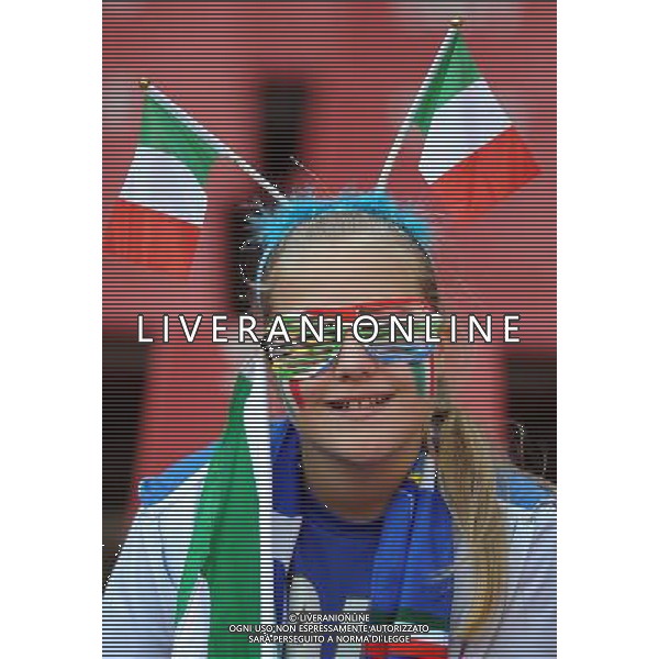 Fifa World Cup Sud Africa 2010 Match #41 Johannesburg (Ellis Park Stadium) - 24.06.2010 Slovacchia-Italia Nella Foto: TIFOSI /Ph.Vitez-Ag. Aldo Liverani