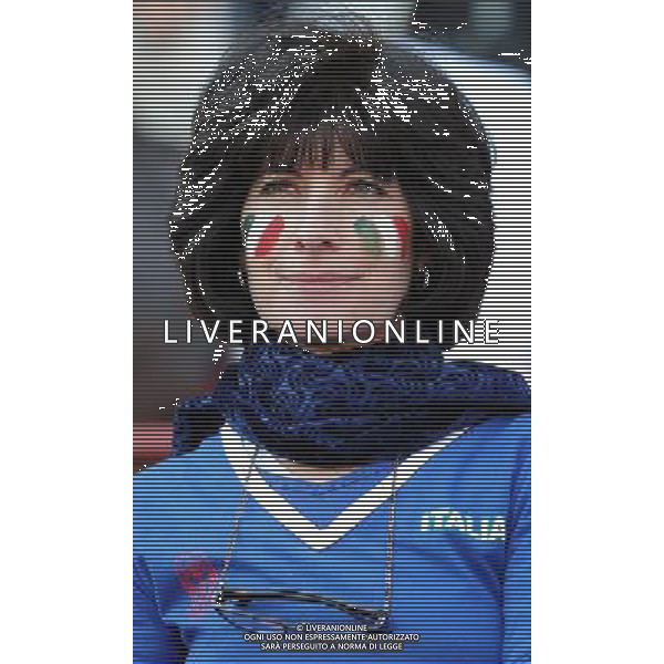 Fifa World Cup Sud Africa 2010 Match #41 Johannesburg (Ellis Park Stadium) - 24.06.2010 Slovacchia-Italia Nella Foto: TIFOSI /Ph.Vitez-Ag. Aldo Liverani