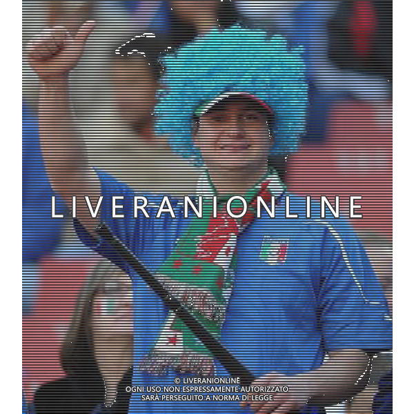 Fifa World Cup Sud Africa 2010 Match #41 Johannesburg (Ellis Park Stadium) - 24.06.2010 Slovacchia-Italia Nella Foto: TIFOSI /Ph.Vitez-Ag. Aldo Liverani