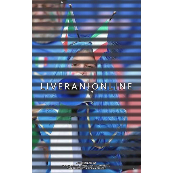 Fifa World Cup Sud Africa 2010 Match #41 Johannesburg (Ellis Park Stadium) - 24.06.2010 Slovacchia-Italia Nella Foto: TIFOSI /Ph.Vitez-Ag. Aldo Liverani