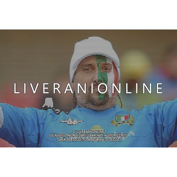 Fifa World Cup Sud Africa 2010 Match #41 Johannesburg (Ellis Park Stadium) - 24.06.2010 Slovacchia-Italia Nella Foto: TIFOSI /Ph.Vitez-Ag. Aldo Liverani