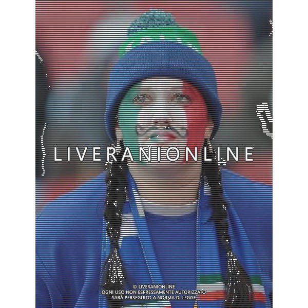 Fifa World Cup Sud Africa 2010 Match #41 Johannesburg (Ellis Park Stadium) - 24.06.2010 Slovacchia-Italia Nella Foto: TIFOSI /Ph.Vitez-Ag. Aldo Liverani