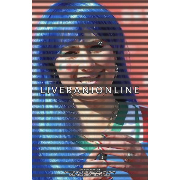 Fifa World Cup Sud Africa 2010 Match #41 Johannesburg (Ellis Park Stadium) - 24.06.2010 Slovacchia-Italia Nella Foto: TIFOSI /Ph.Vitez-Ag. Aldo Liverani