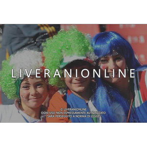 Fifa World Cup Sud Africa 2010 Match #41 Johannesburg (Ellis Park Stadium) - 24.06.2010 Slovacchia-Italia Nella Foto: TIFOSI /Ph.Vitez-Ag. Aldo Liverani