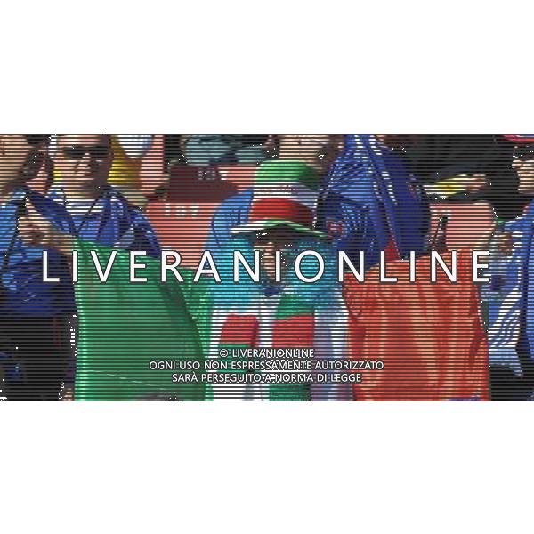 Fifa World Cup Sud Africa 2010 Match #41 Johannesburg (Ellis Park Stadium) - 24.06.2010 Slovacchia-Italia Nella Foto: TIFOSI /Ph.Vitez-Ag. Aldo Liverani